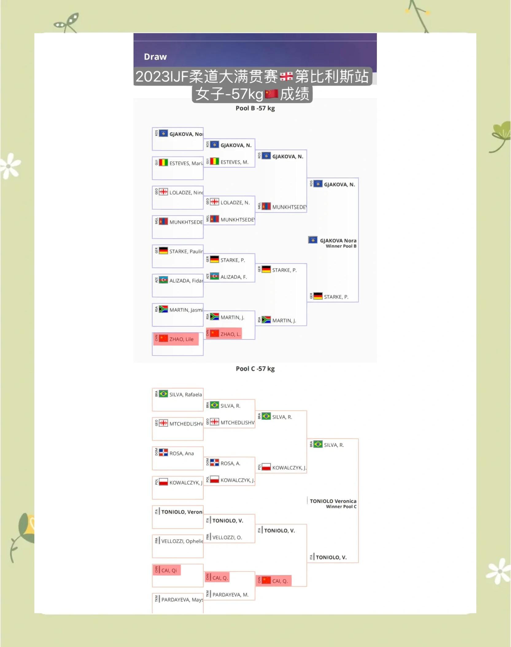 NG SPORTS-关于柔道小组赛,剑门海豚队与岭东铁骑队鏖战,VAR改判成焦点!韧性与执行并存的信息